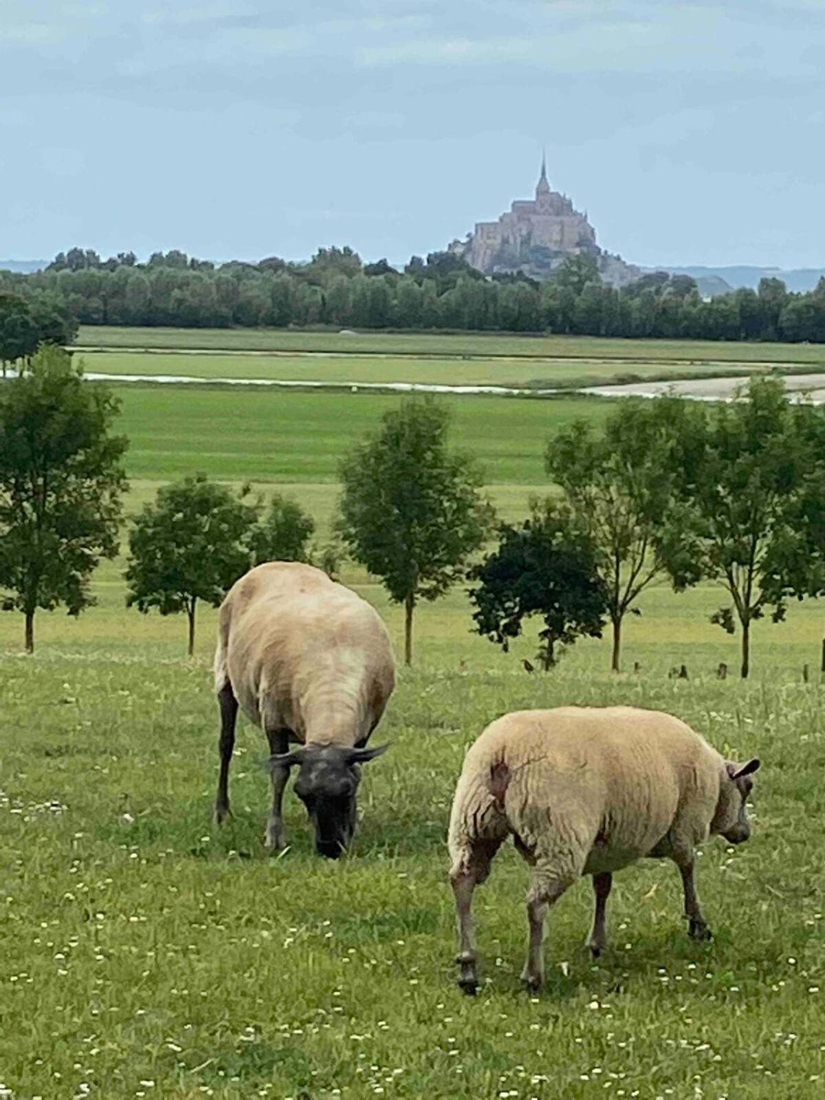 Gites Le Mont Desclos Saint Michel Beauvoir  Habitación foto
